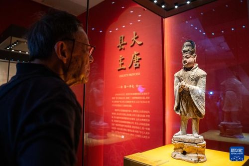 大唐金鄉縣主特展在長沙博物館開幕，文創融合再現盛唐風華