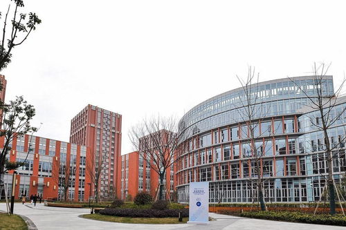 創(chuàng)意無(wú)疆界 上海交大與南加州大學(xué)合作下的長(zhǎng)沙文創(chuàng)產(chǎn)業(yè)新圖景